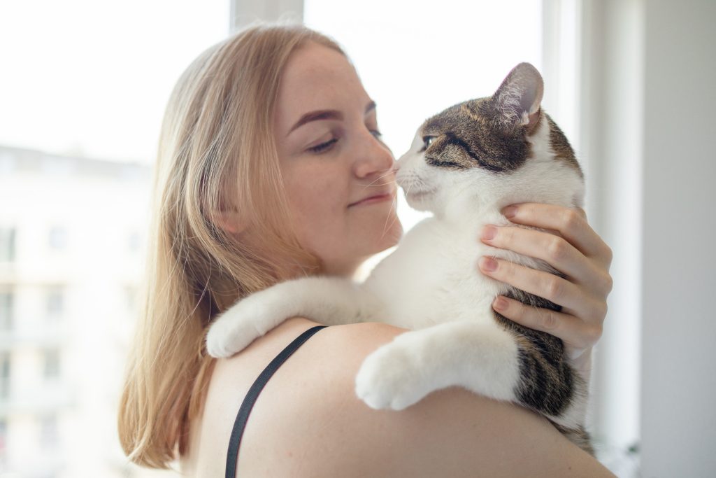 Chat calin
