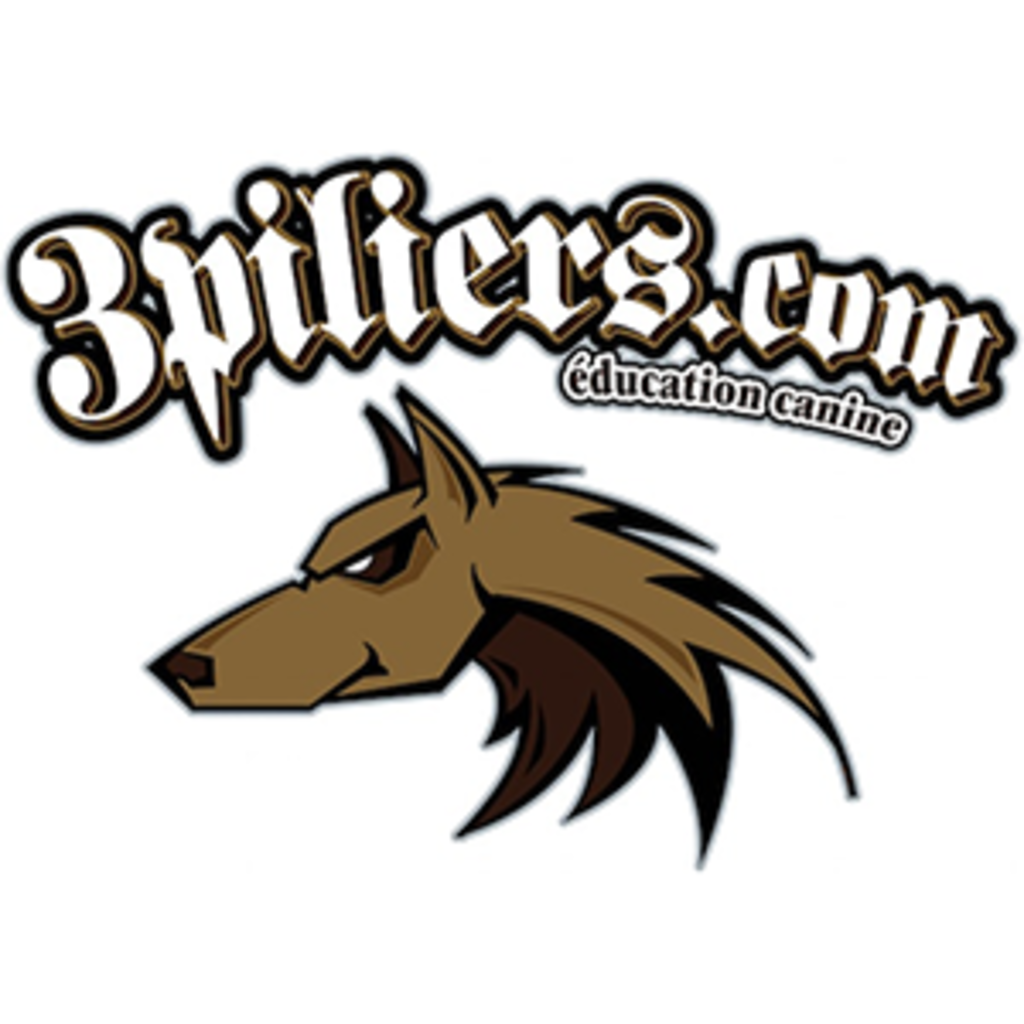 3 Pilliers Ducation Canine
