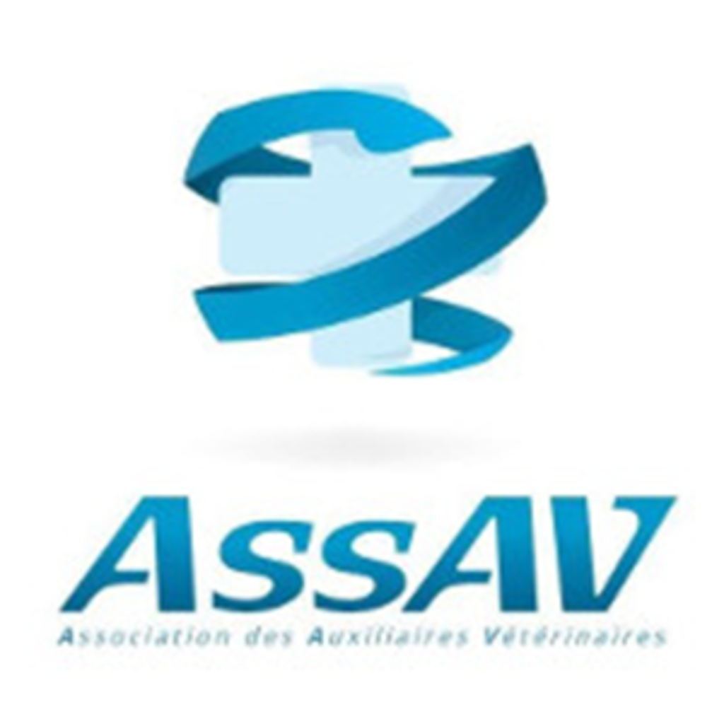 AssAV Carr 