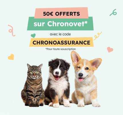B2B_-_GOODGRO___CHRONOVET__1_