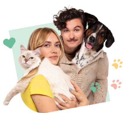 CoupleCat_Dog_Visual_Green