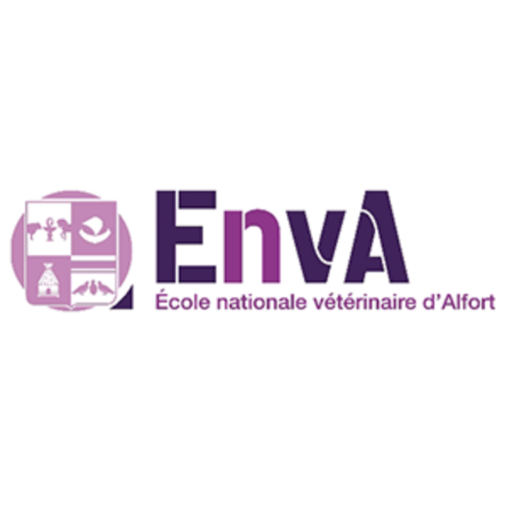 EnVA Carr 