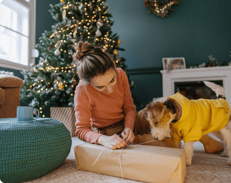 Top 5 des cadeaux de Noël pour nos animaux !