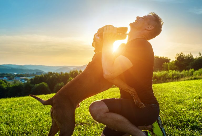 Pourquoi mon chien me lèche ?