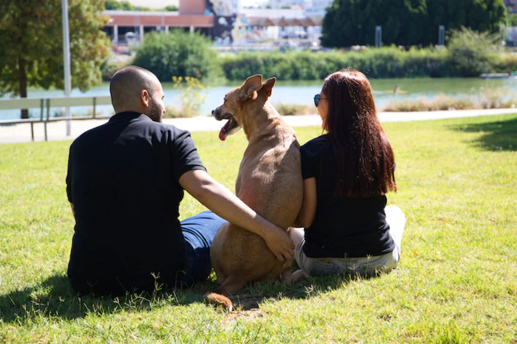 chien dans parc