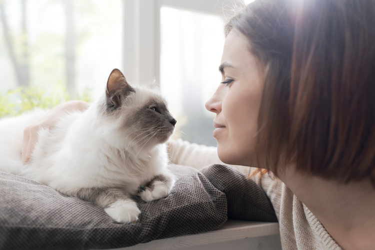 femme et chat âgé