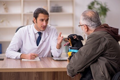 La prévention chez les chiens