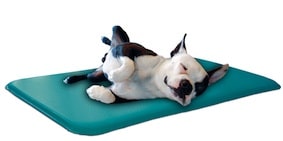 santevet_canine_Cooler_tapis_pour_chien_rafraichissant_-__Climson