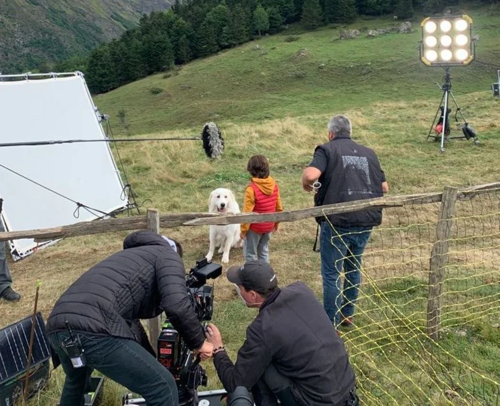 tournage film chien