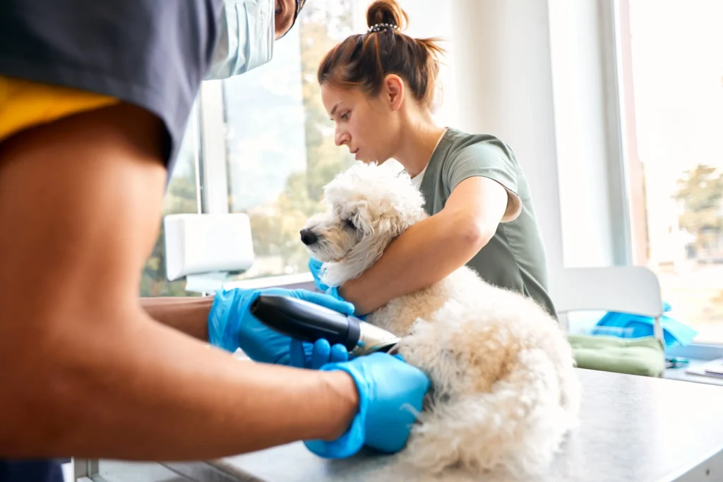 chien contention veterinaire