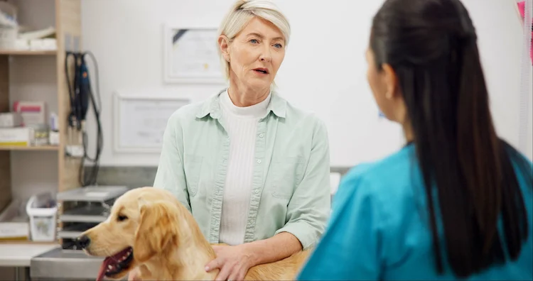 L&rsquo;assurance pour chien rembourse t-elle les maladies congénitales ?